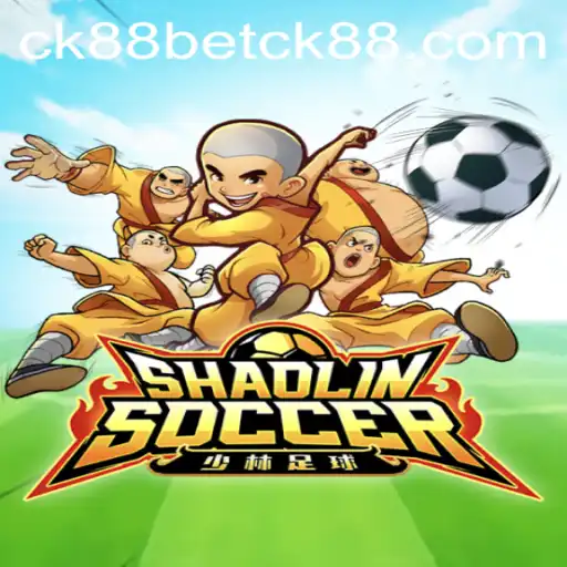 Exploring the Dynamic World of ShaolinSoccer