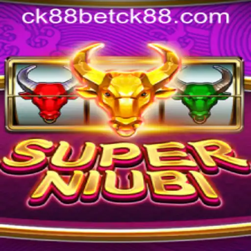 SuperNiubi: A Riveting Analysis of Gameplay, Strategy, and Community Engagement